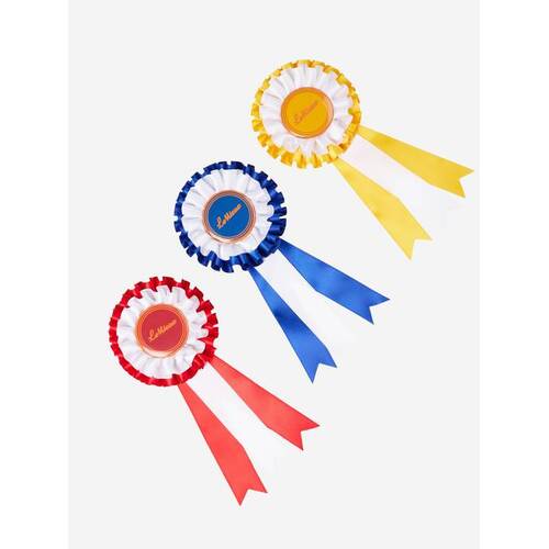 LeMieux Hobby Horse Rosette Pack Multi