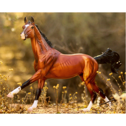 Breyer Traditional Adamek - Akhal Teke